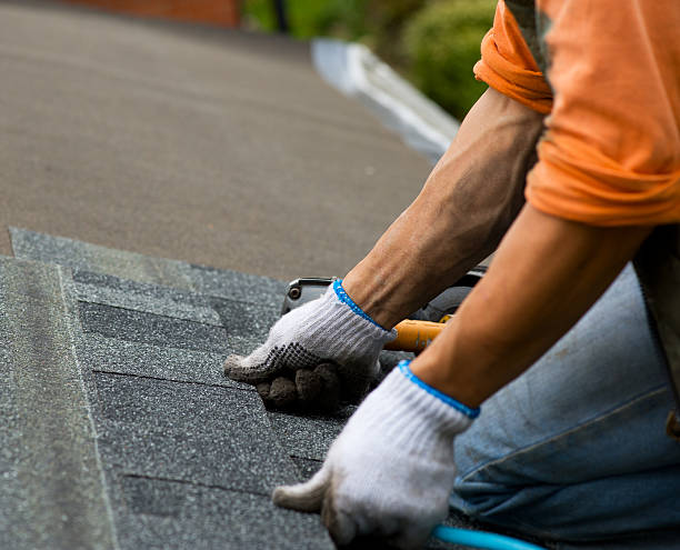 Best Storm Damage Roof Repair  in Hamilton, IN