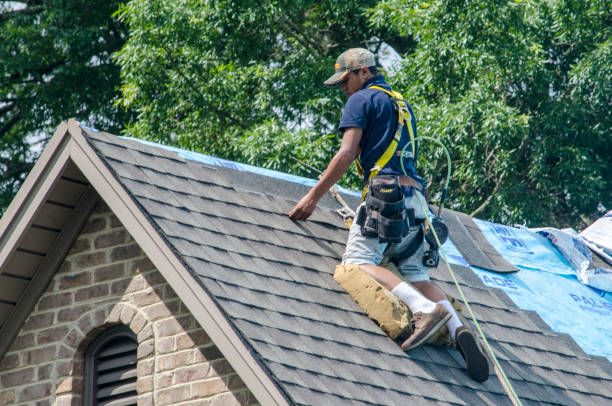Best Metal Roofing Contractor  in Hamilton, IN